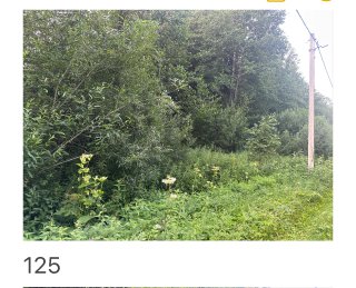 Внимание! Заброшенные участки!